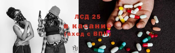 дживик Богородск