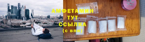 дживик Богородск