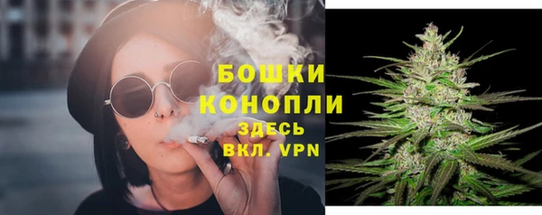 дживик Богородск