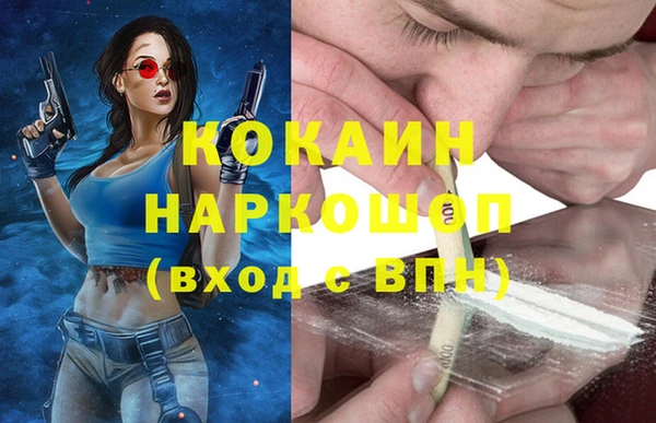 хмурый Белокуриха