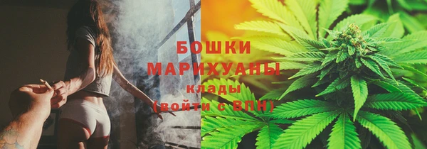 дживик Богородск