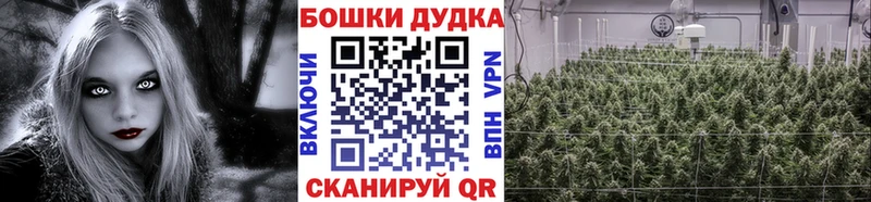 Шишки марихуана MAZAR  купить  цена  Старый Оскол 